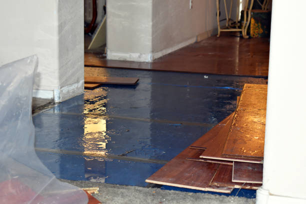 Professional Water Damage Restoration technician working in Bloomingburg, OH